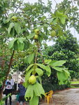 DSCN06229