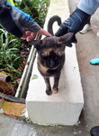 DSCN06254