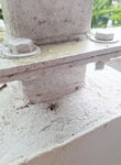 DSCN06255