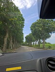 DSCN14229