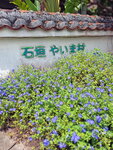 DSCN14398