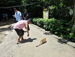 DSCN14414