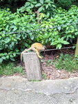 DSCN14416