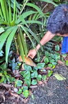 DSCN14419