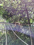 DSCN14422