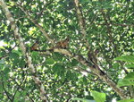 DSCN14426