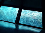 DSCN15099