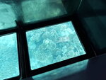 DSCN15104
