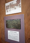 DSCN15477