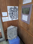 DSCN15478