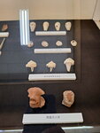 DSCN15486