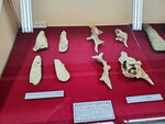 DSCN15488
