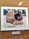 DSCN15497
