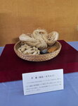 DSCN15517
