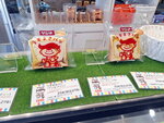 DSCN15539
