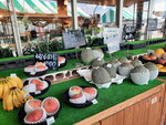 DSCN02799