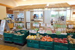 DSCN02803