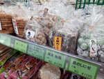 DSCN02809