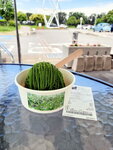 DSCN02817