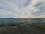 DSCN02947
