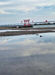 DSCN02978