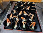 DSCN03007