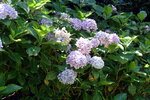 DSCN03057