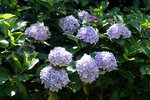 DSCN03058