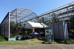 DSCN03234