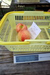 DSCN03237