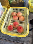 DSCN03238