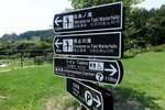 DSCN03347