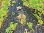DSCN03360