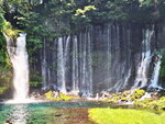 DSCN03372
