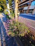DSCN03568