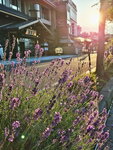 DSCN03571
