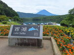 DSCN03631