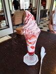 DSCN03723