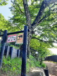 DSCN03930