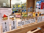 DSCN04109