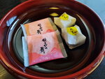 DSCN04117