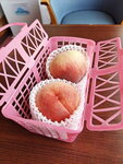 DSCN04118