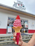 DSCN04608
