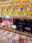 DSCN04619