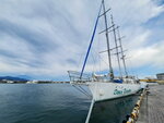 DSCN04908