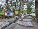 DSCN04963