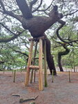 DSCN04964