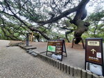 DSCN04966