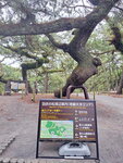 DSCN04967