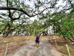 DSCN04971
